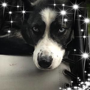 Meet your Posher, Stacey